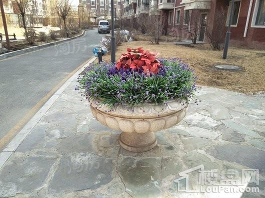 幸福温泉小镇实景图