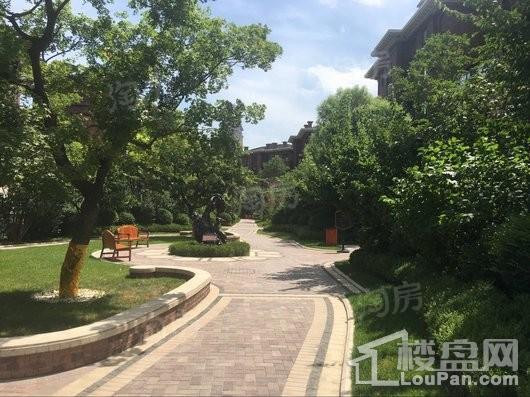 金地铁西檀府实景图