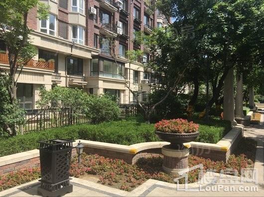 金地铁西檀府实景图
