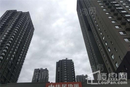 长堤湾实景图