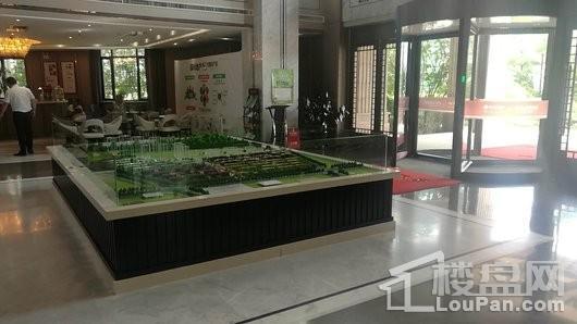 保利白沙林语实景图