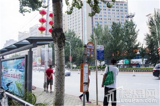 七星九龙湾配套图