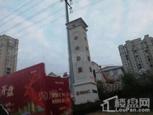 雨润中央宫园实景图