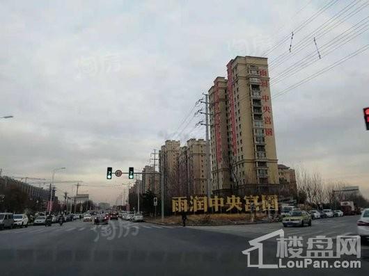雨润中央宫园实景图