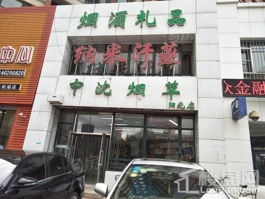 阳光100国际新城配套图