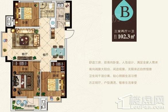 B户型