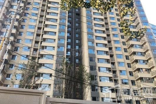 泰和龙庭实景图