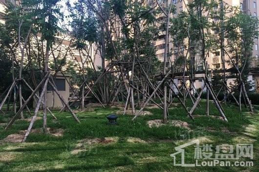 泰和龙庭实景图