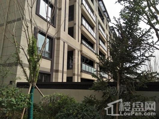 保利海德公园实景图