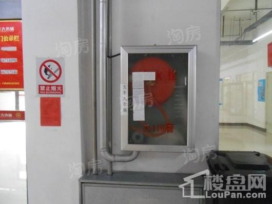 沈阳五丰大市场实景图