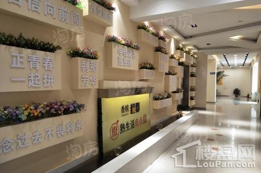 香槟橙郡实景图
