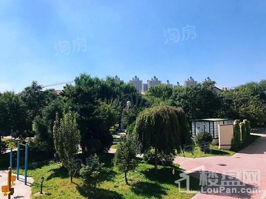 米拉春天实景图