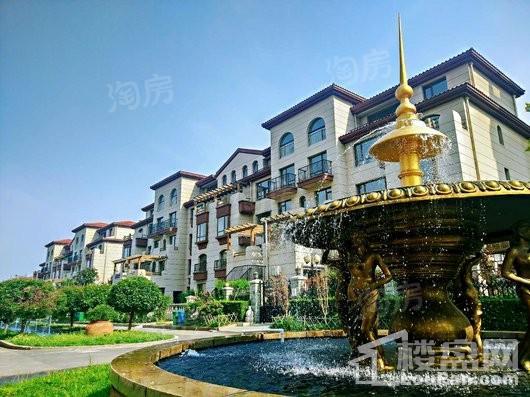 米拉春天实景图