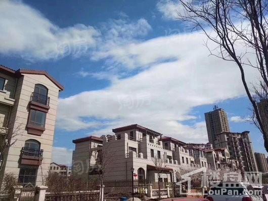 实景图