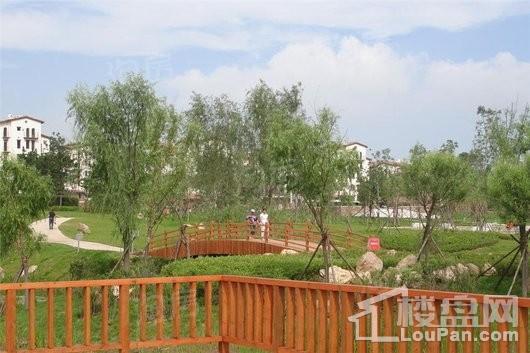 绿地大溪地实景图