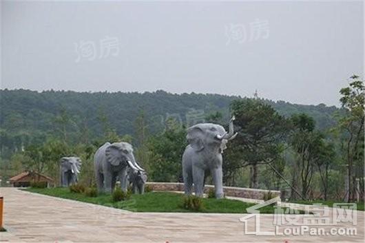 绿地大溪地实景图