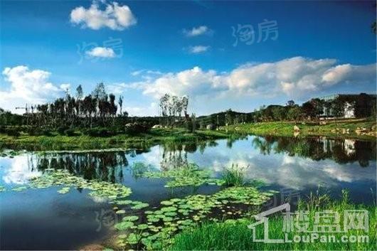 绿地大溪地效果图
