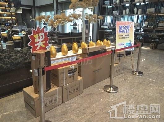 金辉优步湖畔实景图