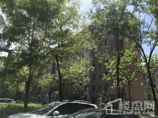 河畔新城品尚实景图