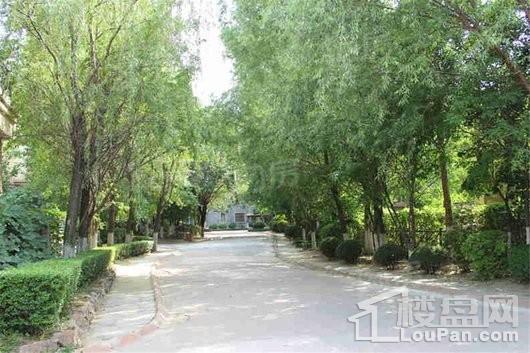 翔凤山水国际 实景图