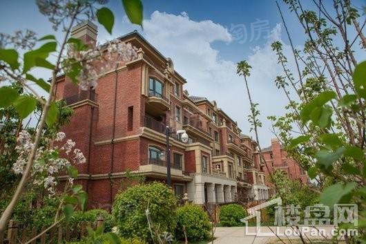 卓尔沈阳客厅实景图