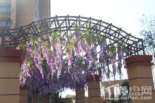 卓尔沈阳客厅实景图