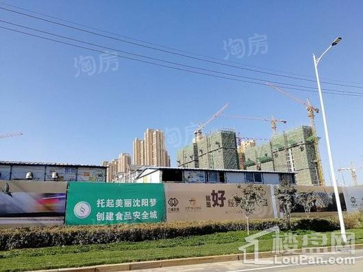 三盛颐景御园实景图