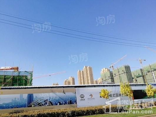 实景图