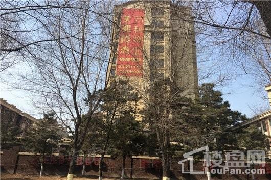 美弗霞湾实景图