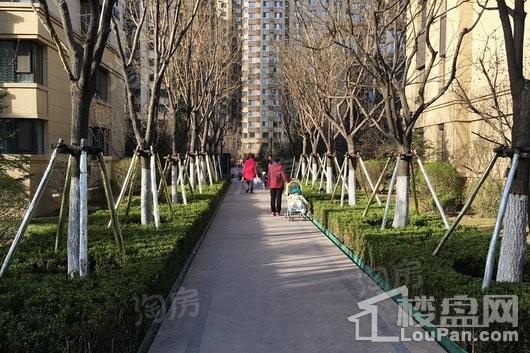 华润置地紫云府悦里实景图