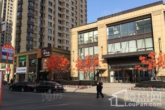 华润置地紫云府悦里实景图