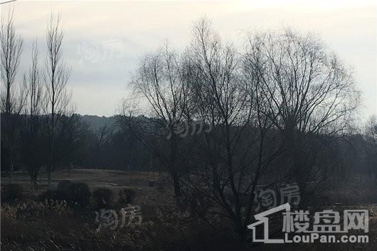 富力星月湾配套图
