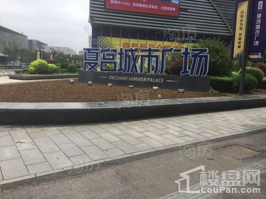 夏宫城市广场实景图