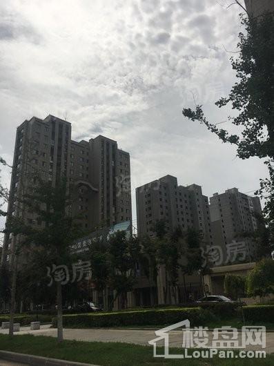 实景图
