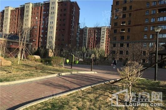 江南时代实景图