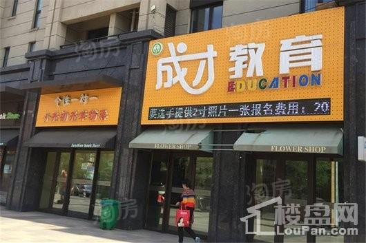 越秀星汇云锦配套图