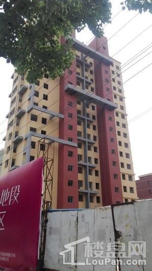 实景图