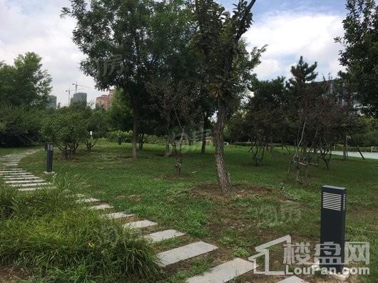沈阳国际软件园实景图