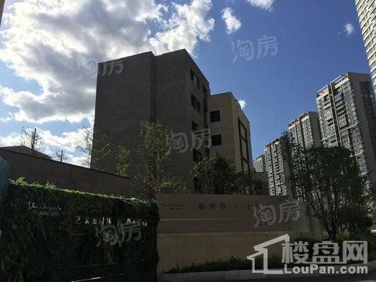 新世界卓铸实景图