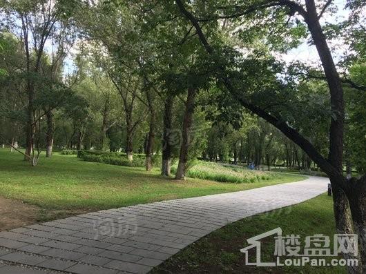 新世界卓铸配套图
