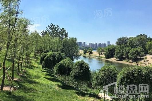 新世界卓铸配套图