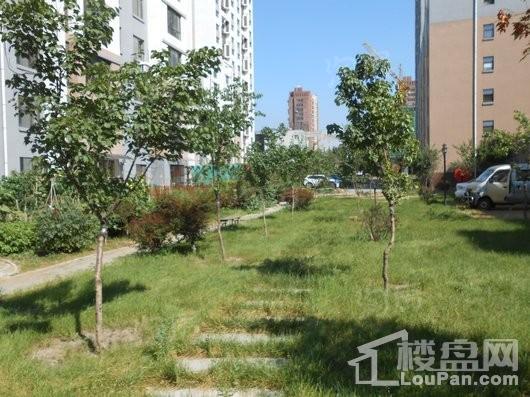 北宇红枫庭院实景图