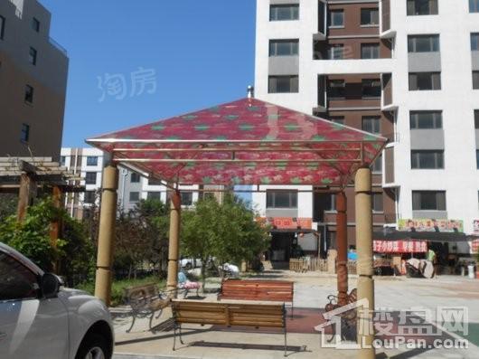 北宇红枫庭院实景图