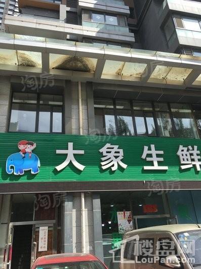 保利达大象公寓配套图