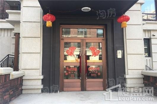 万锦香樟树实景图