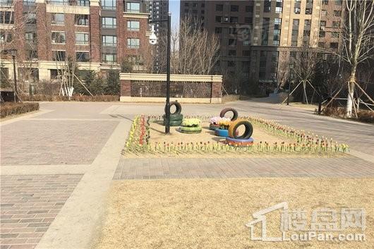 实景图