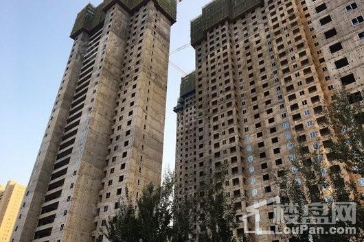 万科圣丰翡翠之光实景图