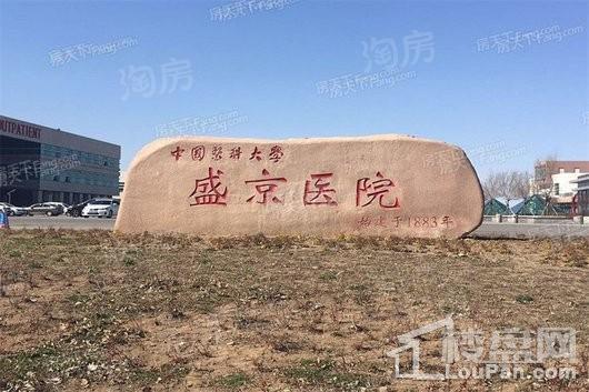 亚力山大城A座配套图