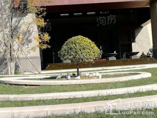 清河半岛别墅实景图