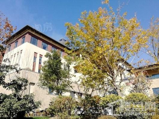 清河半岛别墅实景图